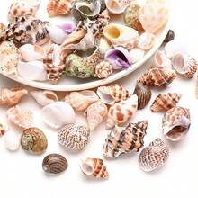 100g Natural Shells 0.39-1.57 Inch Unpolished Asymmetrical Assorted Shells, Suitable For Jewelry Making Supplies - DIY Handmade Beach Wedding Party Fish Tank Decoration, Gift - Set - View 5