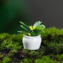 4pcs Mini Artificial Potted Plants, Resin Bonsai Faux Greenery With Square Flower Pots, 3.5cm Miniature Plant Decor, Suitable For Office Desk, Home Decoration, Bedside Table, Bookshelf, Dormitory, Living Room And Small Space Decoration - Default - View 12