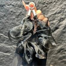 Organza Rhinestone Phone Chain Wrist Strap Korean Style Crystal Keychain Pendant Scrunchie Phone Lanyard - Multicolor - View 11