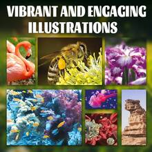 Encyclopedia Of Nature And Science, Animals, Birds, Plants, Insects, Earth, Human Body, Universe, Fact-Rich Visual Knowledge Companion, Suitable For Family Learning, With Beautiful Full-Color Illustrations - Encyclopedia Series - View 4