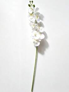1/3/5支 27英吋人造蝴蝶蘭花莖 真觸感仿真蘭花 室內人造花植物 用於居家辦公室婚禮裝飾 客廳臥室廚房酒店桌面裝飾 - 白色 - 查看 11