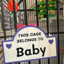 1Pc Personalized Parrot Cage Name Sign - Custom Parrot Name Plaque, Cute Bird Cage Decoration, Personalized Parrot Room Sign For Home, Bird Owners, Pet Lovers, Gifts & More - Multicolor - View 5