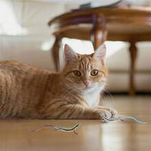 Lizard Cat Toy, Durable Plastic Realistic Reptile Toy, Battery-Free Interactive Motion Chewing Toy, Suitable For Indoor Play And Training For Kittens And Adult Cats 6 Months And Older - A - View 5