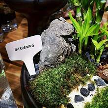 Waterproof Reusable T-Type Plant Tags For Garden Vegetables And Herbs 100pcs/Set - White - View 7