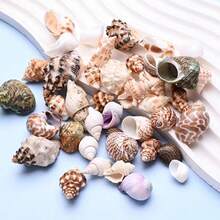 100g Natural Shells 0.39-1.57 Inch Unpolished Asymmetrical Assorted Shells, Suitable For Jewelry Making Supplies - DIY Handmade Beach Wedding Party Fish Tank Decoration, Gift - Set - View 4