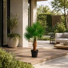 Artificial Palm Tree KLACK 95 Cm, Realistic Decorative Tropical Plant For Home And Office - Green - View 3