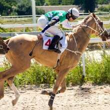 1件輕量馬術馬鞭，舒適手柄，耐用馬術訓練設備，適用於馬廄訓練、比賽和日常騎乘 - 彩色 - 查看 5