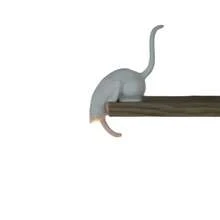 1pc Cross-Border New Cat Shelf-Sitter Lamp 3D Printed Cat Shaped Bookshelf Lantern Pendant, Cute Kitten Ornament, Universal Car Key Chain Decor, In Stock Cat Pendant (Without Light) - Multicolor - View 9