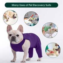 Dog Leg Recovery Suit, Thigh Wound Protection Sleeve, Suitable For Male And Female Dogs Recovery Sleeve, Post-Neuter/Spay Surgery Pet Recovery Bodysuit - Purple - View 7