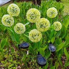 單頭太陽能蒲公英花園燈，內置 LED 彩色串燈，庭院花園裝飾燈，戶外草坪景觀地插燈，適用於庭院、景觀、小徑、草坪、走道太陽能裝飾，創意禮物 - 三頭蔥球 - 查看 9