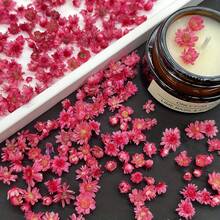 140 PCS Tiny Small Art Flowers For Soap Making DIY Candle Jewelry Earrings Epoxy Molds DIY Candles Soap Making - Hot Pink - View 2