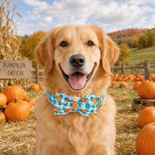 Kalung Anjing Bobo Rainbow Fall Blue Checkered Pumpkin dengan Pita, Cocok untuk Anjing Kecil, Hadiah Pesta, Kalung Hewan Peliharaan yang Dapat Diatur untuk Mencegah Sesak Napas, Gesper Plastik Lepas Cepat - Biru - View 7