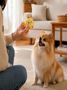 1pc Yellow Chick Pet Interactive Bouncing Sound Toy Ball, Fun Companion For Dogs And Cats, Relieves Boredom, Features Sound Function To Attract Dogs And Cats, Made Of Chew-Resistant Material, Slow Rebound Pet Toy, Perfect Pet Gift - Multicolor - View 6
