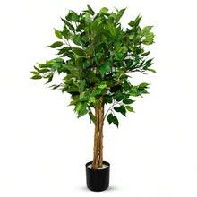 Artificial Plants - Green - View 1