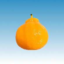 Halloween Squishy-Crunchy Orange Squishy – Handmade Fidget Toy With Brick Filler, Stress Relief Desk Decor For Adults - Multicolor - View 8