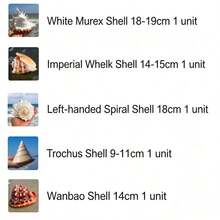 Large Conch Shell, Gold Conch, Large Frog Conch, Stone Number Conch, White Coral, Starfish Decor (Can Be Blown) Fish Tank Landscape Home Decor Ornament, Aquarium Decoration, Living Room Decor Ornament - Multicolor - View 7