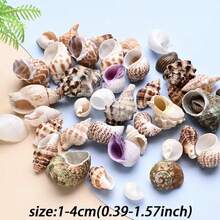 100g Natural Shells 0.39-1.57 Inch Unpolished Asymmetrical Assorted Shells, Suitable For Jewelry Making Supplies - DIY Handmade Beach Wedding Party Fish Tank Decoration, Gift - Set - View 3