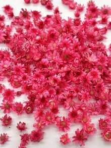 140 PCS Tiny Small Art Flowers For Soap Making DIY Candle Jewelry Earrings Epoxy Molds DIY Candles Soap Making - Hot Pink - View 4
