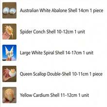 Large Conch Shell, Gold Conch, Large Frog Conch, Stone Number Conch, White Coral, Starfish Decor (Can Be Blown) Fish Tank Landscape Home Decor Ornament, Aquarium Decoration, Living Room Decor Ornament - Multicolor - View 8