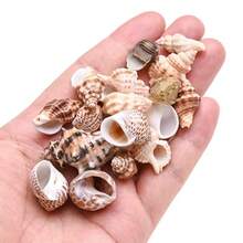 100g Natural Shells 0.39-1.57 Inch Unpolished Asymmetrical Assorted Shells, Suitable For Jewelry Making Supplies - DIY Handmade Beach Wedding Party Fish Tank Decoration, Gift - Set - View 1
