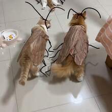 1 Set Halloween Cockroach Hot Cat Costume Twist Wire Handmade DIY Material Kit Creative Funny Prop - Multicolor - View 1