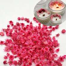 140 PCS Tiny Small Art Flowers For Soap Making DIY Candle Jewelry Earrings Epoxy Molds DIY Candles Soap Making - Hot Pink - View 3