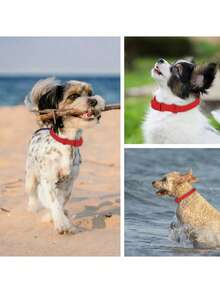 PVC Waterproof, Odor-Resistant, Rust-Proof Dog Collar With Adjustable Buckle, Easy To Clean, Suitable For Small, Medium, And Large Dogs - Red - View 8