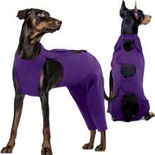 Dog Leg Recovery Suit, Thigh Wound Protection Sleeve, Suitable For Male And Female Dogs Recovery Sleeve, Post-Neuter/Spay Surgery Pet Recovery Bodysuit - Purple - View 10