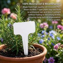 Waterproof Reusable T-Type Plant Tags For Garden Vegetables And Herbs 100pcs/Set - White - View 3