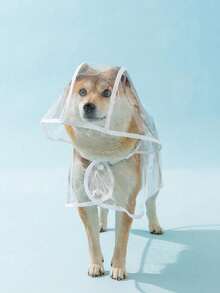 1pc PU Waterproof Transparent Pet Raincoat, Suitable For Rainy Days Dog Raincoat, Pet Puppy Hooded Waterproof Jacket, Soft Hood, Holiday Gift, Essential For Spring, Summer, Autumn, Winter - Multicolor - View 6