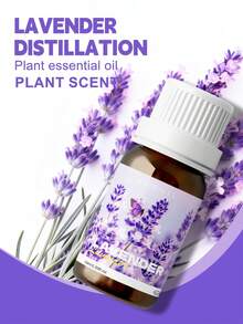 EMBRACEX. 24種植物精油 10ml 芳香精油 薄荷油 葡萄藤 芳香療法 清新空氣 節日禮物 蠟燭製作 肉桂 乳香 薄荷 檸檬草 尤加利 迷迭香 生薑 茶樹 廣藿香 雪松 白麝香 艾草 檸檬香草 黑胡椒 牛至 茴香 檀香 佛手柑 橙花 茉莉 丁香 - PLANT - 查看 30