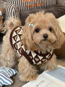 Pet Dog Cat Knitted Sweater Cute Pet Knitted Sweater Suitable For Small Dogs Cats Autumn Winter Teddy Dog Chihuahua Yorkshire Terrier Set - Chocolate Brown - View 5