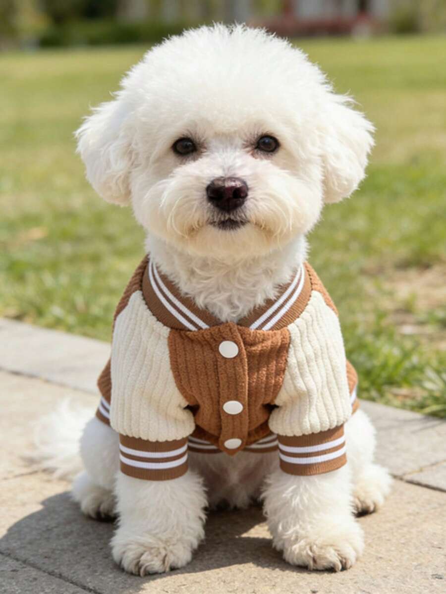 Puppy Baseball Shirt Pet Clothes, Fashionable & Fun Puppy Pocket Pattern Embroidered Autumn/Winter Style Cat & Dog Universal Clothing, Suitable For Autumn/Winter Season - Brown - View 1