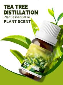 EMBRACEX. 24種植物精油 10ml 芳香精油 薄荷油 葡萄藤 芳香療法 清新空氣 節日禮物 蠟燭製作 肉桂 乳香 薄荷 檸檬草 尤加利 迷迭香 生薑 茶樹 廣藿香 雪松 白麝香 艾草 檸檬香草 黑胡椒 牛至 茴香 檀香 佛手柑 橙花 茉莉 丁香 - PLANT - 查看 19