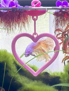 6 Colors Floating Heart-Shaped Betta Fish Swim Ring | Betta Fish Decoration & Entertainment | Anti-Algae Fish Tank Entertainment, Fun Aquarium Decor - A - View 10