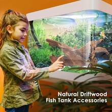 1/2pcs Natural Aquarium Driftwood Branches, Fish Tank Decoration Ornament, 2-8 Inches Multiple Sizes, Suitable For Betta Cichlid Shrimp Tank, Reptile Climbing Hiding Cave, Moss Fixing Hardscape, Rustic Brown Forest Style, Freshwater Use - A - View 8