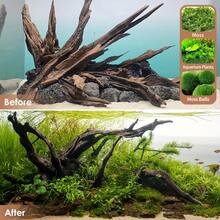 1/2pcs Natural Aquarium Driftwood Branches, Fish Tank Decoration Ornament, 2-8 Inches Multiple Sizes, Suitable For Betta Cichlid Shrimp Tank, Reptile Climbing Hiding Cave, Moss Fixing Hardscape, Rustic Brown Forest Style, Freshwater Use - A - View 7