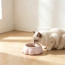 1pc Thick Anti-Tip Non-Slip Single Pet Bowl, Macaron Cute Cat & Dog Food Bowl, Cream Color - 100ml - View 7