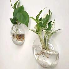 2/4 Packs Wall Hanging Glass Terrarium - Self-Watering Hydroponic Planter For Home Office Decor, Handmade Round Crystal Vase - Multicolor - View 6