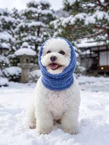 Blue Thin Polyester Fleece Comfortable Warm Pet Hat, Suitable For Cats And Dogs, With Elastic Ear Protection Hood, Cat Supplies, Dog Accessories, Indoor And Outdoor Use - Blue - View 10