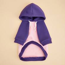2pcs Mixed Pack Cat & Dog Pet Clothing, Colorblock Rabbit Print Hooded Sweatshirt, Funny Cartoon Rabbit Pattern, Fits Chihuahua, Maltese, Shih Tzu, Corgi Puppy, Ragdoll Cat, Silver Shaded Cat And Other Cats & Dogs - Multicolor - View 5