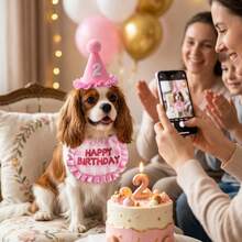 1pc Set - Pet Birthday Hat & Bandana Set, Solves Pet Wearing Slipping And Tightness Discomfort, Suitable For Birthday Celebrations, Theme Parties And Cute Pet Photo Shoots, Adjustable Cat & Dog Birthday Costume Kit. - Multicolor - View 8