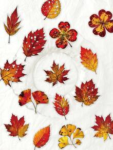 56Pcs Autumn Fall Leaves PET Stickers, Transparent Vintage Fall Foliage Decals, Maple Ginkgo Oak Leaf Stickers Fit Journal Water Bottle Laptop Scrapbooking - A - View 3
