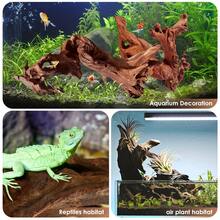 1/2pcs Natural Aquarium Driftwood Branches, Fish Tank Decoration Ornament, 2-8 Inches Multiple Sizes, Suitable For Betta Cichlid Shrimp Tank, Reptile Climbing Hiding Cave, Moss Fixing Hardscape, Rustic Brown Forest Style, Freshwater Use - A - View 6