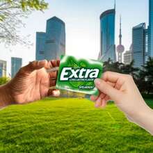 Bloom Nutrition Extra Spearmint Sugar Free Chewing Gum Bulk Pack, 15 Pieces, 10 Packs - Chewing Gum - View 5
