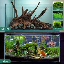 1/2pcs Natural Aquarium Driftwood Branches, Fish Tank Decoration Ornament, 2-8 Inches Multiple Sizes, Suitable For Betta Cichlid Shrimp Tank, Reptile Climbing Hiding Cave, Moss Fixing Hardscape, Rustic Brown Forest Style, Freshwater Use - A - View 5