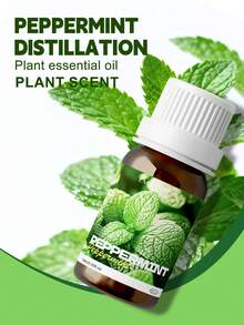 EMBRACEX. 24種植物精油 10ml 芳香精油 薄荷油 葡萄藤 芳香療法 清新空氣 節日禮物 蠟燭製作 肉桂 乳香 薄荷 檸檬草 尤加利 迷迭香 生薑 茶樹 廣藿香 雪松 白麝香 艾草 檸檬香草 黑胡椒 牛至 茴香 檀香 佛手柑 橙花 茉莉 丁香 - PLANT - 查看 18