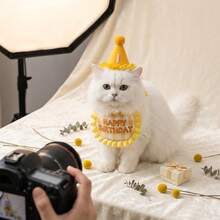 1pc Set - Pet Birthday Hat & Bandana Set, Solves Pet Wearing Slipping And Tightness Discomfort, Suitable For Birthday Celebrations, Theme Parties And Cute Pet Photo Shoots, Adjustable Cat & Dog Birthday Costume Kit. - Multicolor - View 5