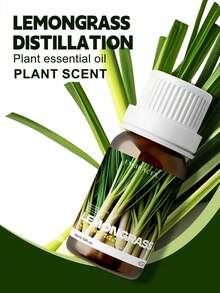 EMBRACEX. 24種植物精油 10ml 芳香精油 薄荷油 葡萄藤 芳香療法 清新空氣 節日禮物 蠟燭製作 肉桂 乳香 薄荷 檸檬草 尤加利 迷迭香 生薑 茶樹 廣藿香 雪松 白麝香 艾草 檸檬香草 黑胡椒 牛至 茴香 檀香 佛手柑 橙花 茉莉 丁香 - PLANT - 查看 24