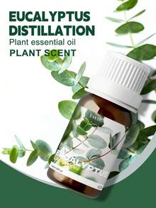 EMBRACEX. 24種植物精油 10ml 芳香精油 薄荷油 葡萄藤 芳香療法 清新空氣 節日禮物 蠟燭製作 肉桂 乳香 薄荷 檸檬草 尤加利 迷迭香 生薑 茶樹 廣藿香 雪松 白麝香 艾草 檸檬香草 黑胡椒 牛至 茴香 檀香 佛手柑 橙花 茉莉 丁香 - PLANT - 查看 23